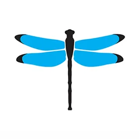 Dragonfly Digital Marketing
